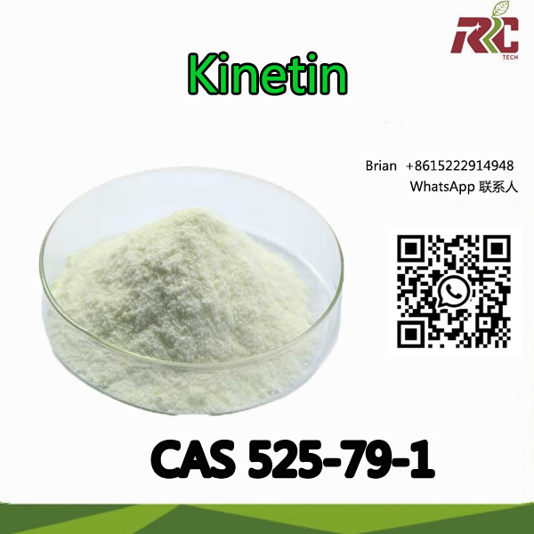 Kinetin, 6-Furfurylaminopurin, 6-KT CAS 525-79-1