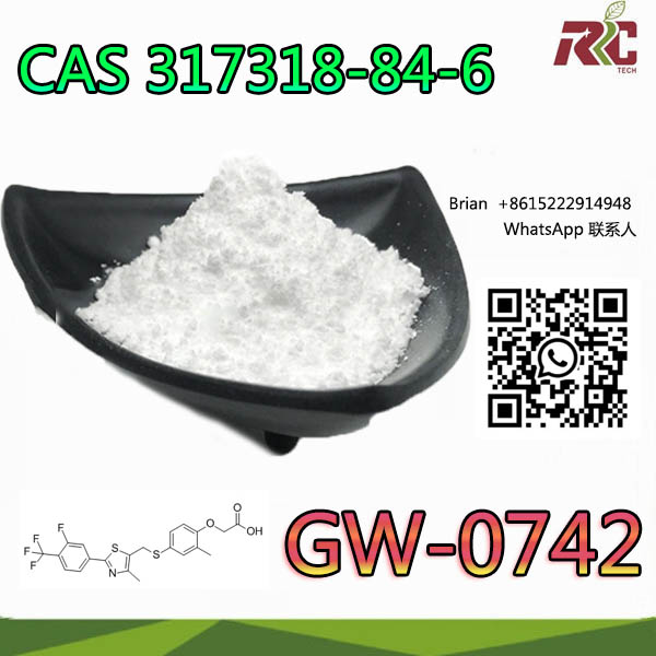 High Purity Gw-0742 Powder CAS 317318-84-6 pou bilding nan misk