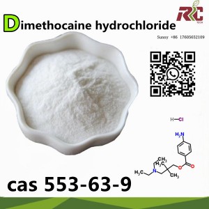 Leading Manufacturer for Pharmaceutical Chemical - Cas 553-63-9 Dimethocaine hydrochloride chemical raw matericals Larocaine HCl Intermediates China Supplier Dimethocaine HCl – ARTC