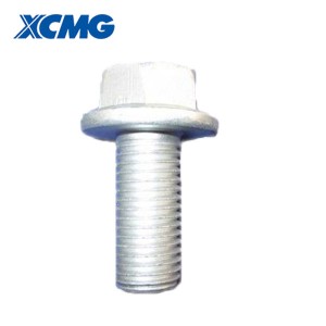 XCMG təkər yükləyicisi ehtiyat hissələri boltu M12×25 10.9 805004764 GBT16674.1-2004