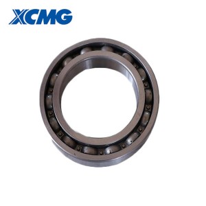 XCMG wheel loader spare parts nga nagdala 6010 800511300 GBT276-1994