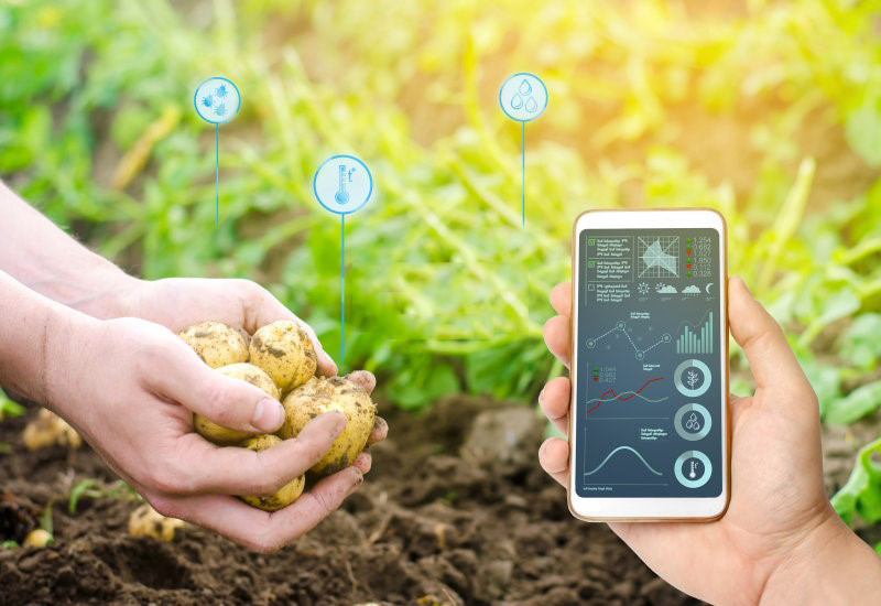 Smart Agriculture Internet of Things