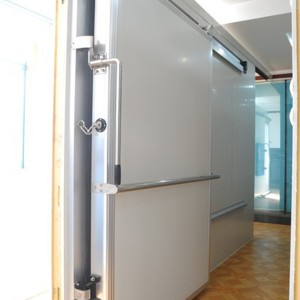 China High Quality Cold Room Sliding Door