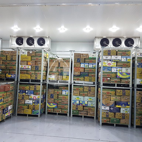High Quality Fruit cold room Supplier