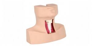 Pažangus tracheotomijos ir endotrachėjos intubacijos simuliatorius