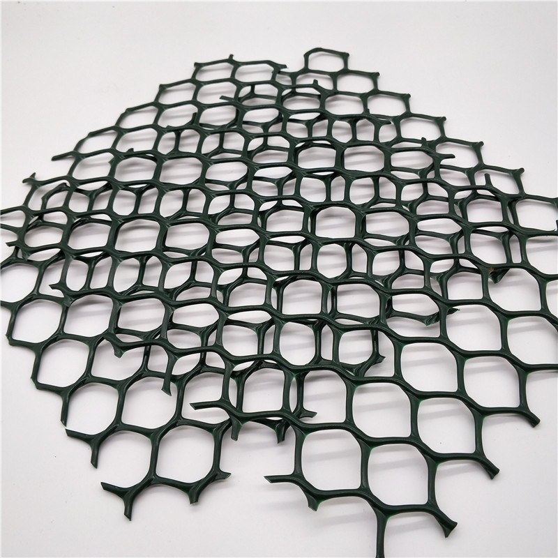 Geonet Vegetative Cover Plastic Mesh 3D Composite Drainage Net