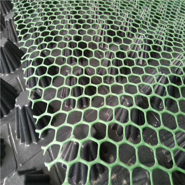 HDPE geonet for grass and protecting and water erosion