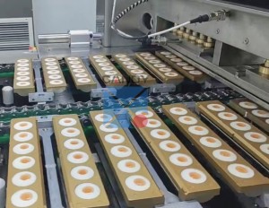 Nhà máy sản xuất trực tiếp máy làm kẹo cao su nhãn cầu 3D để bán