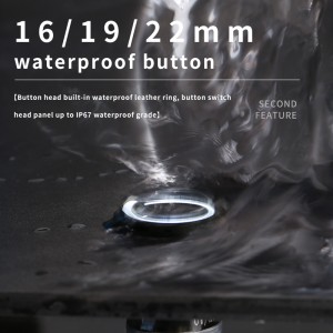 16 мм, 12 В, кнопковий перемикач, кільцевий світлодіод, чорне миттєве покриття оболонки