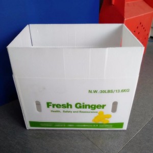 White Ginger Box Hvítt pp efni úr plasti bylgjupappa ferskt engifer box