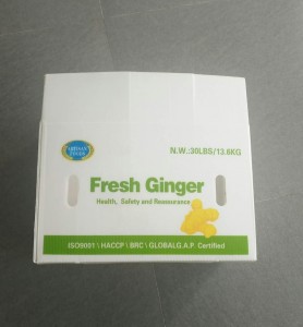 White Ginger Box White pp nga materyal nga plastik nga corrugated nga lab-as nga ginger box