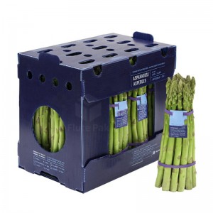 Caixas de embalaxe de espárragos personalizadas Caixa de espárragos de almacenamento de corrugado corrugado de PP plegable Correx