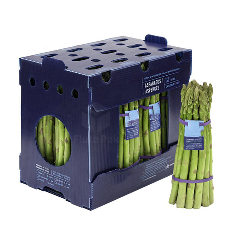 Custom nga asparagus packing boxes Folding PP Corrugated Corflute Correx Storage Asparagus box Featured Image