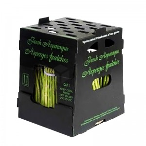 Pasadya nga asparagus packing box nga Folding PP Corrugated Corflute Correx Storage Asparagus box