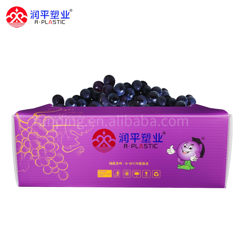 Muovilaatikko Grape China OEM-tehtaan painettu kierrätetty taitettava laatikko Esittelyssä kuva