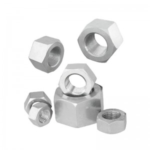 Stainless Steel Hot Forge Hex Nuts