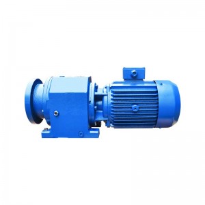 China High Quality Helical Gearbox With Motor Factory –  R Series Single Screw Extruder Helical Gear Motor –  Red Sun