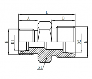 1D- Metric Male 24 ° Reducer