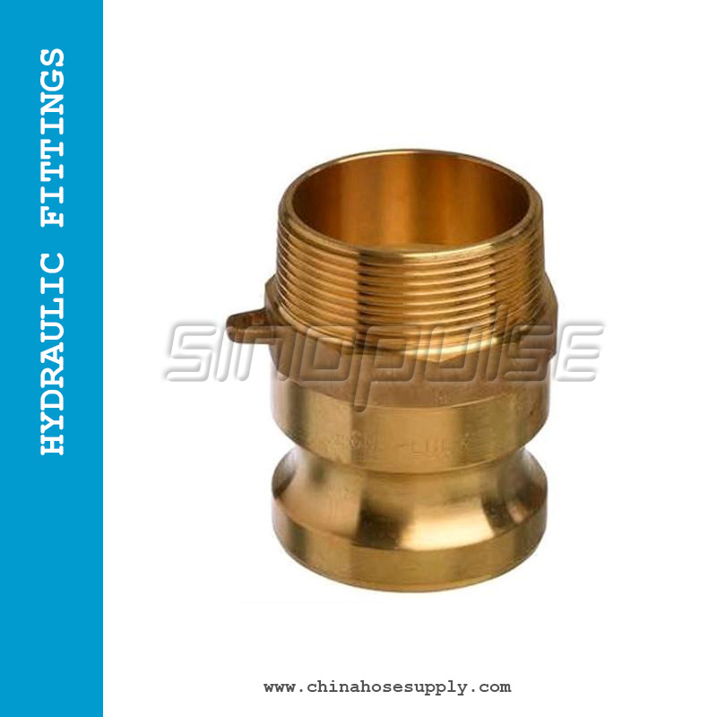 Brass Camlock Coupling Type F  male grooved adaptor and a male pipe thread (NPT/BSPT)
