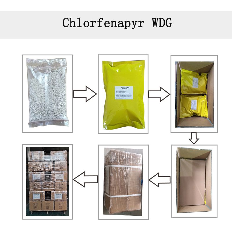 CAS: 122453-73-0 Agrikulturaj Kemiaĵoj Insekticido Chlorfenapyr 24%/36%SC Fibestokontrolo