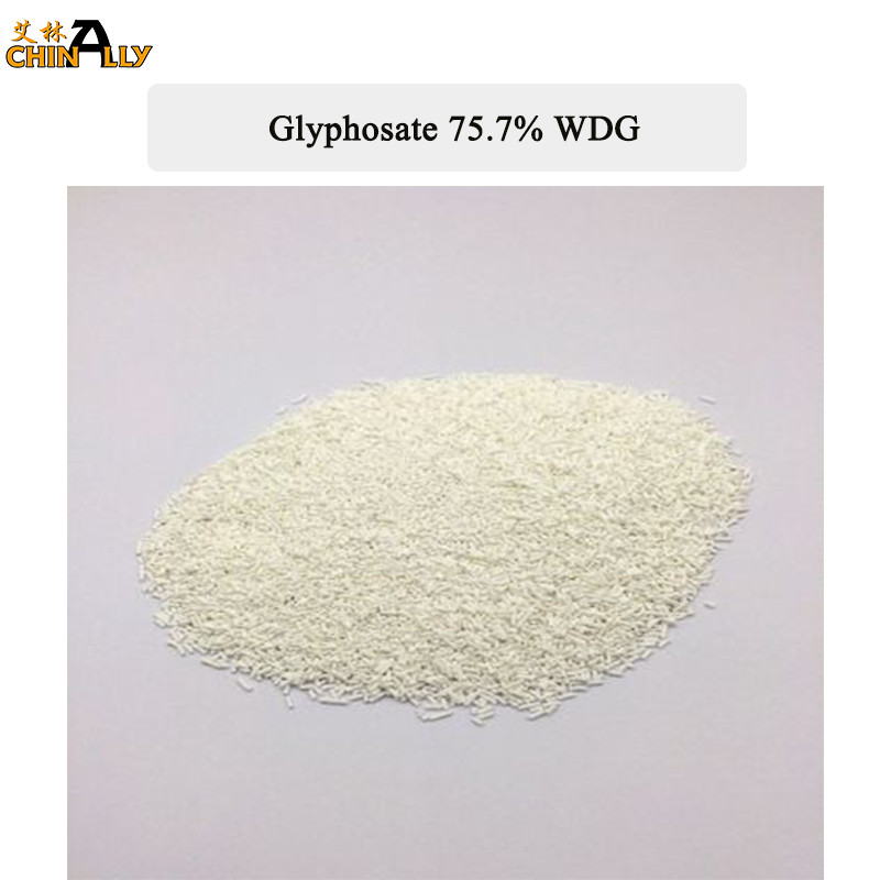 Ọnụahịa ụlọ ọrụ Direct Glyphosate 480g/L Ipa SL Glyphosate 41%SL