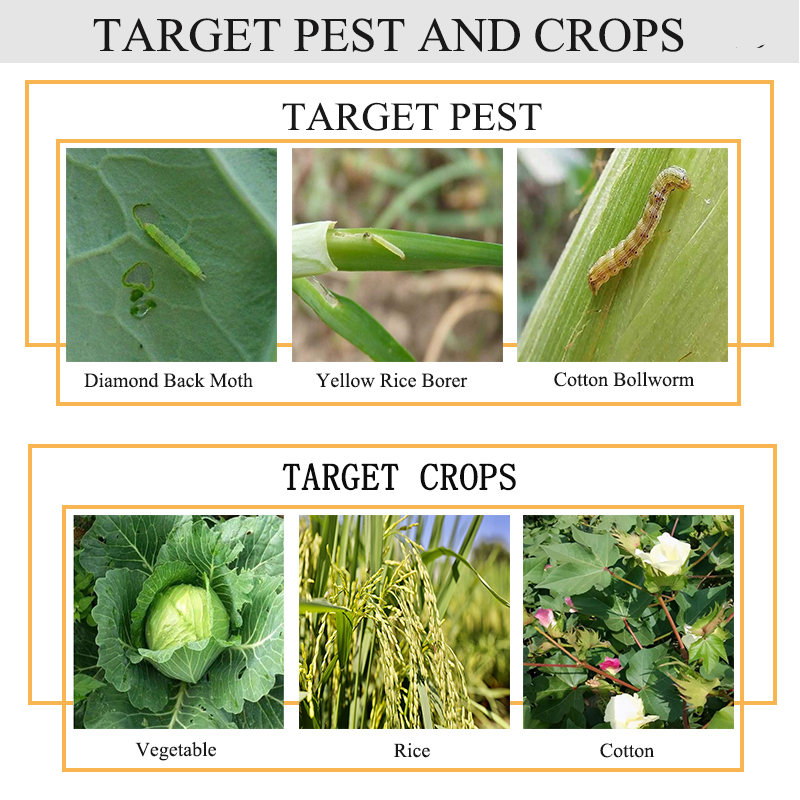 CAS: 122453-73-0 Agricultural Chemicals Insecticide Chlorfenapyr 24%/36%SC Pest Control