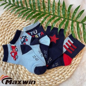 19-22 Baby Udones, Natum Baby Udones, Currus Embroidery Standard Puerorum Socks