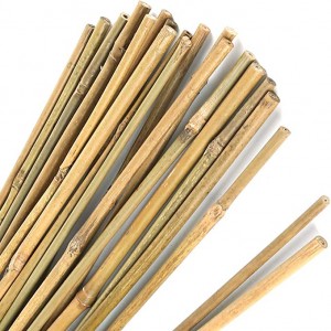 Natural Bamboo Stake Garden stake Plant support