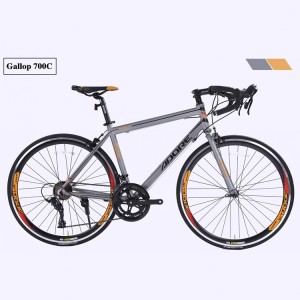 PDR700C 21 Speed MTB 26 Inch Mountain Bike with straight/cove handlebar bicycle