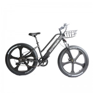 Manufacturing Companies for Racing Bikes - 26inch aluminum alloy frame fat E-bike for 7speed adult cycling – Panda