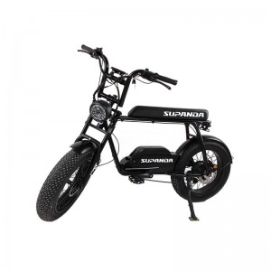 A must-have for traveling — Harley-Davidson–XD20-7