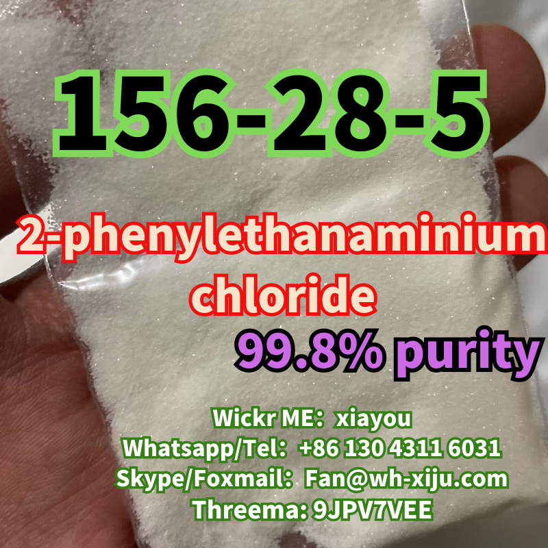 China Good Quality 2-phenylethanaminium chloride CAS 156-28-5 with Safe Delivery