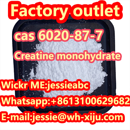 Exporturi la vedere de înaltă calitate CAS：6020-87-7 Creatina monohidrat cu WhatsApp:+8613100629682