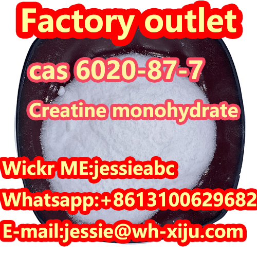 Às-mhalairt spot de chàileachd àrd CAS: 6020-87-7 Creatine monohydrate le WhatsApp: +8613100629682
