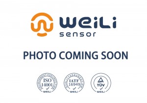 Professional China Bmw Abs Sensor - ABS Sensor 6395406407 A6395406407  – Weili Sensor