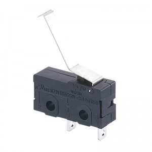 China Wholesale Push Button Electrical Switch Quotes - HK-04G-LD-071 – Tongda