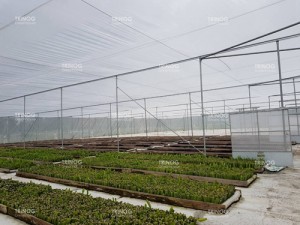 Εξωραϊσμός Farm Shading Net Θερμοκήπιο