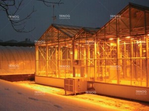 Dutch Venlo Light deprivation Greenhouse