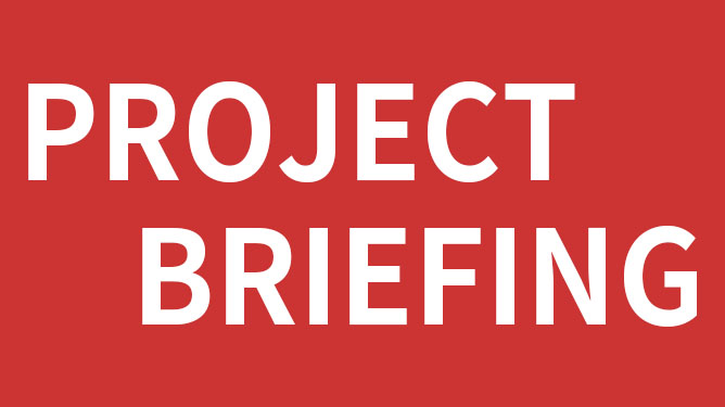 Projekto Briefing