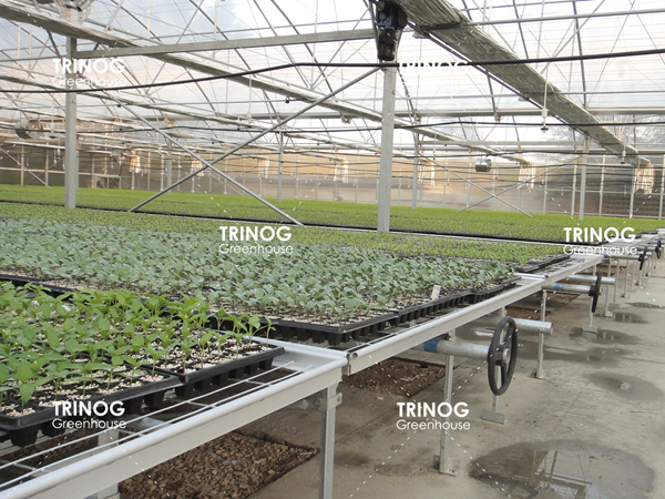 Mesh Greenhouse seed benches system with OEM design
