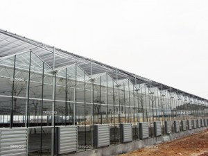 Auto Controled Outdoor Shade Net System Ka Steel Frame