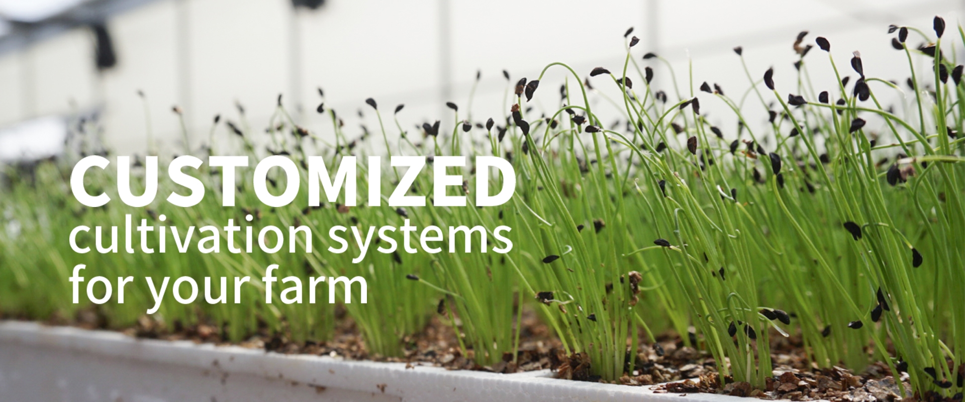 customized cultivation systems for your farm