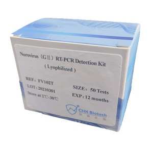 Norovirus (GⅡ) RT-PCR detektatzeko kit