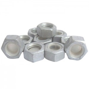 Hot Selling for Hot Dipped Galvanized Wedge Anchors - Galvanized hexagon nut – Chuan Ding