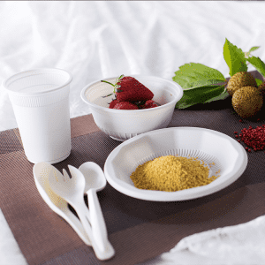 Biodegradable Disposable Corn Starch Food Plate