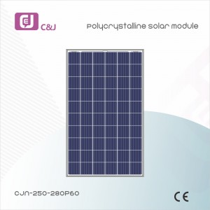 CJN-250-280P60 Polycrystalline Solar Module