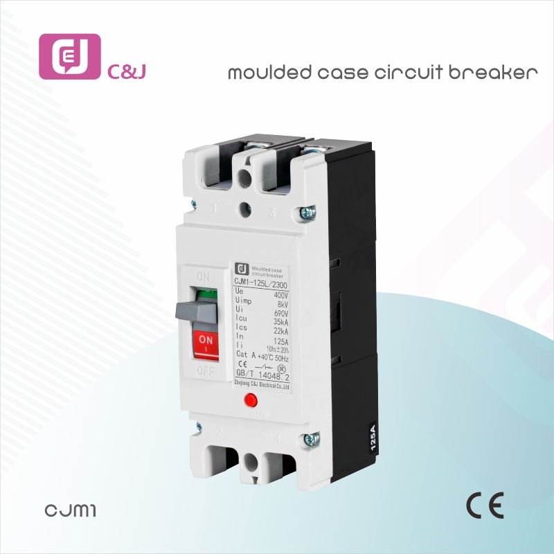 CJM1 Mould Case Circuit Breaker Customized 125A with High Breaking Capacity MCCB