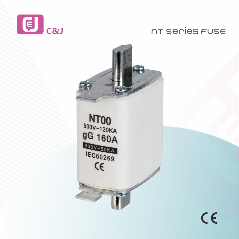NT00 Series Low Voltage Link Fuse na Fuse Holder