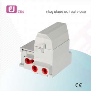 1p+N 60-100A Plug Blade Yanke Fuse