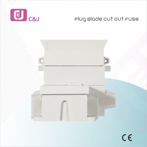 1p + N 60-100A Plug Blade Cut out Fuse